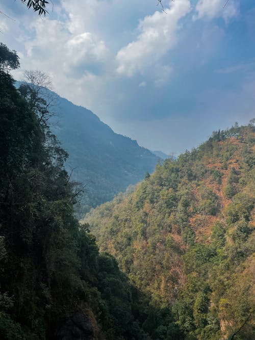 Kostenloses Stock Foto zu drohne erschossen, grün, landschaft