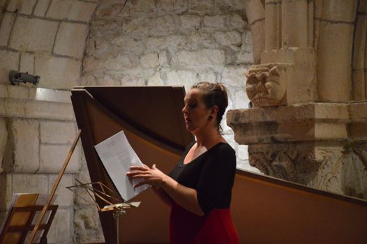 A classical singer performs with sheet music in a historic stone arch cellar, creating a serene ambiance.