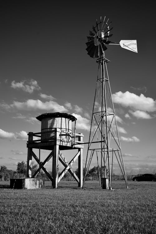 Immagine gratuita di bianco e nero, campagna, campo