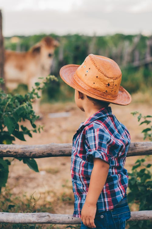 A Little Boy in a Checkered Shirt and a Hat Standing next to a Pasture with a Cow 