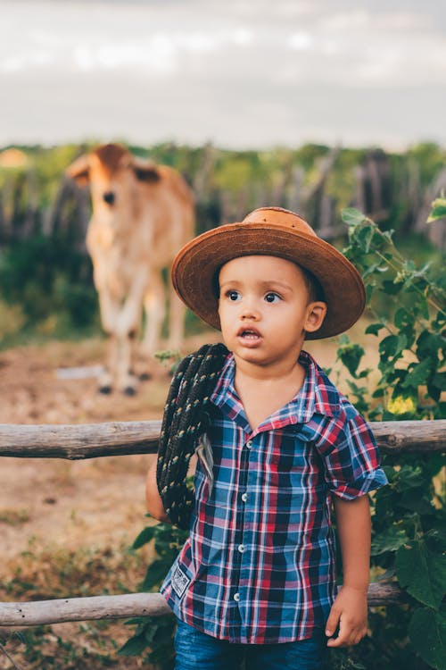 A Little Boy in a Checkered Shirt and a Hat Standing next to a Pasture with a Cow 