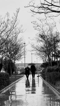 Two people with umbrellas walk on a rainy path lined with trees in Türkiye.