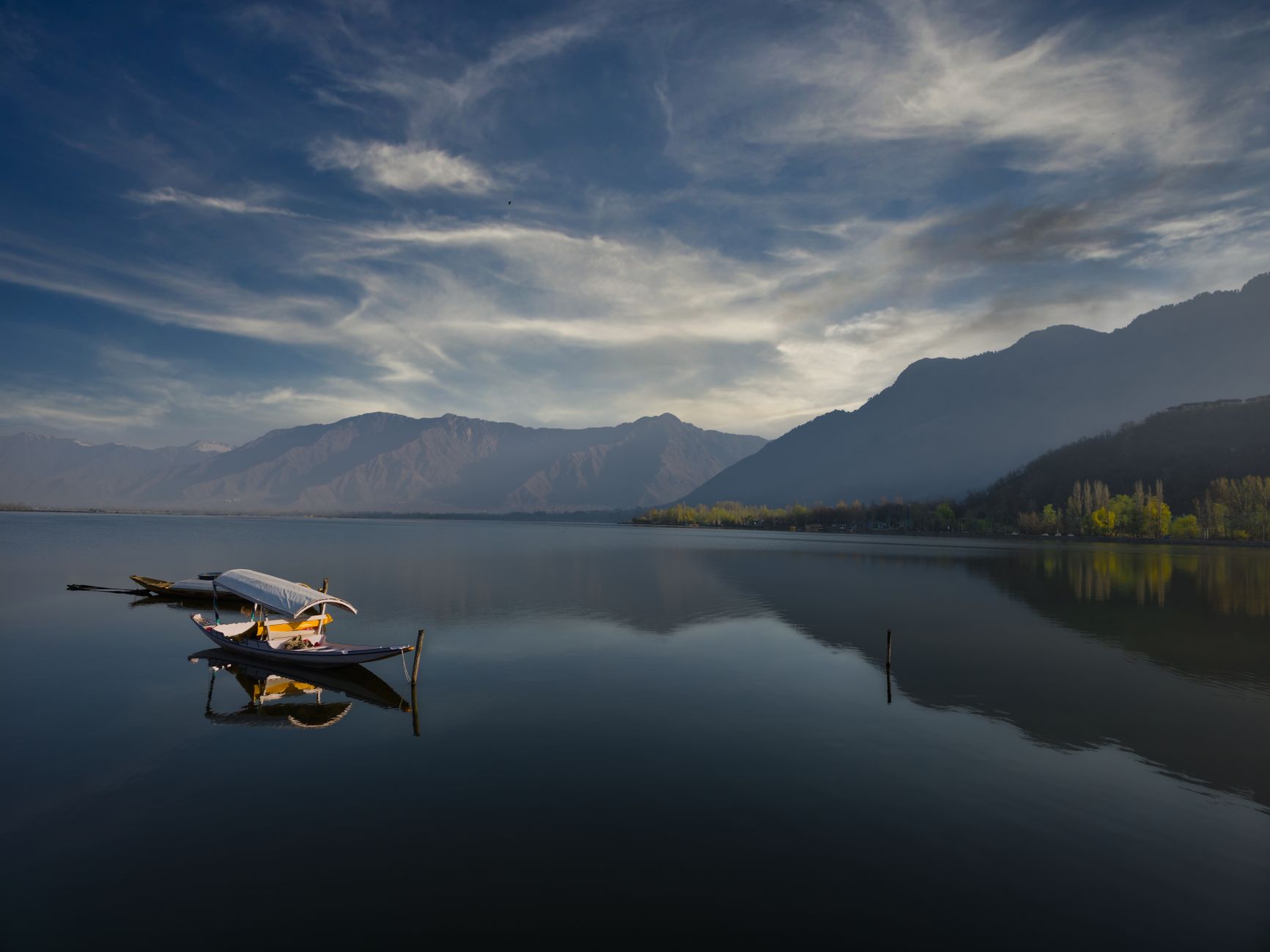 Boats on Dal Lake in Srinagar Kashmir