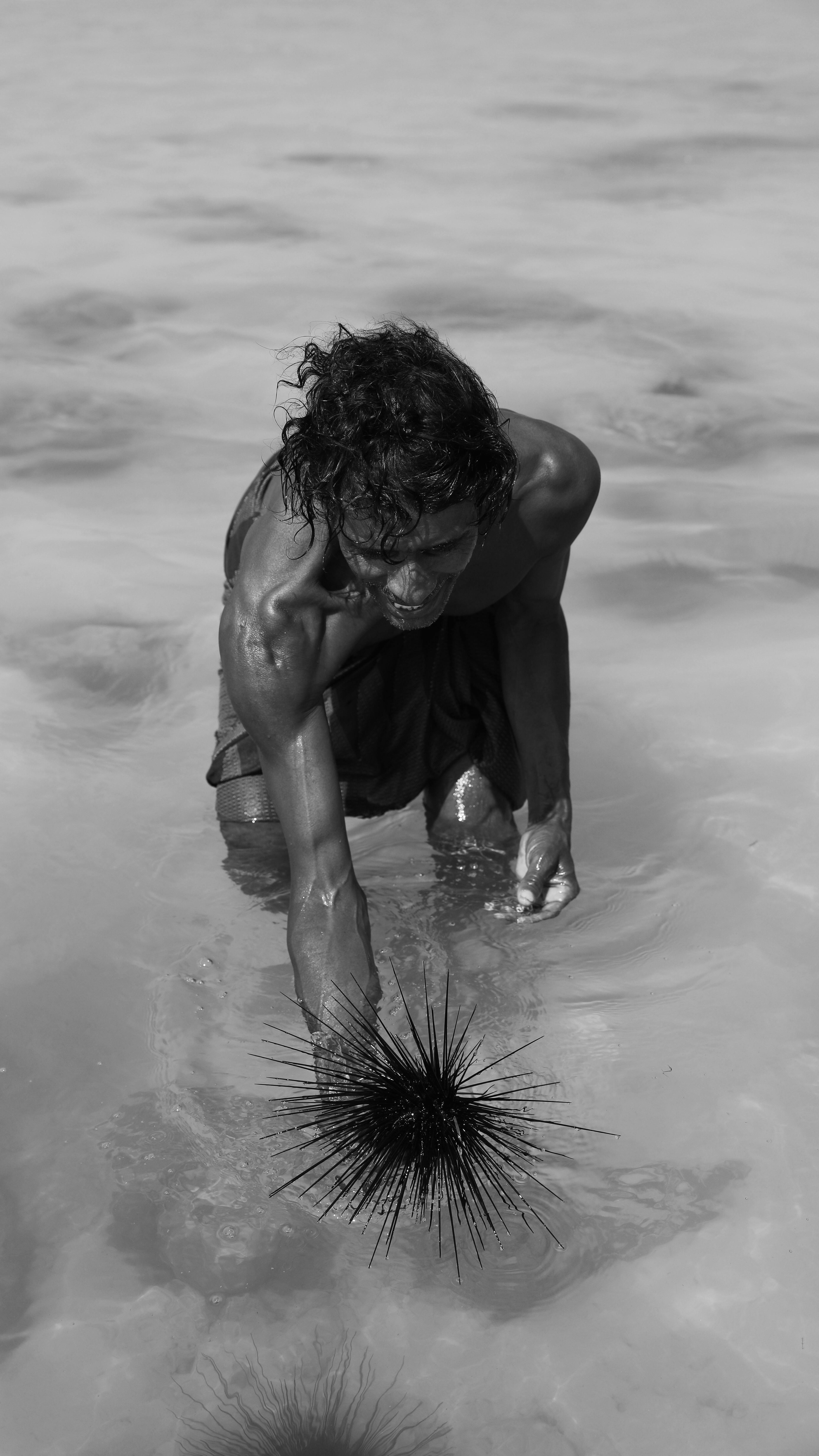 A man carefully collects a sea urchin in the shallow waters of Arkhabil Suqutrá, Yemen.