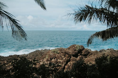 Rocky Coastline and Sea 