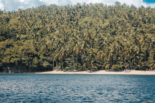 경치, 바다, 섬의 무료 스톡 사진