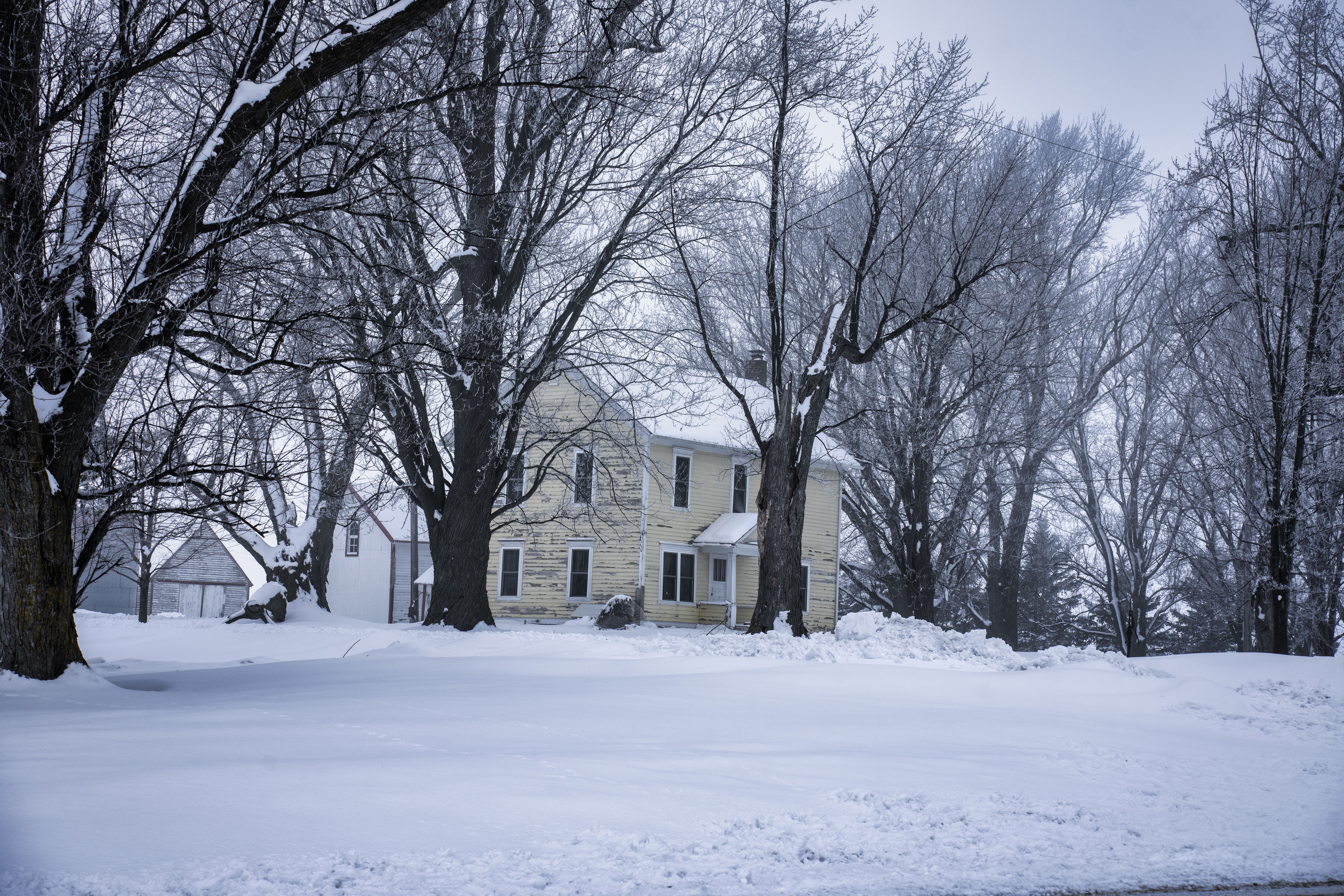 House Among Trees in Winter · Free Stock Photo