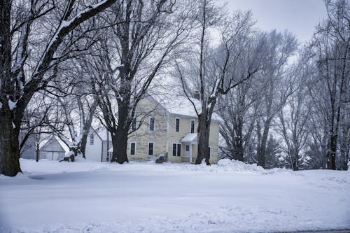 コールド, ファーム, 冬の無料の写真素材