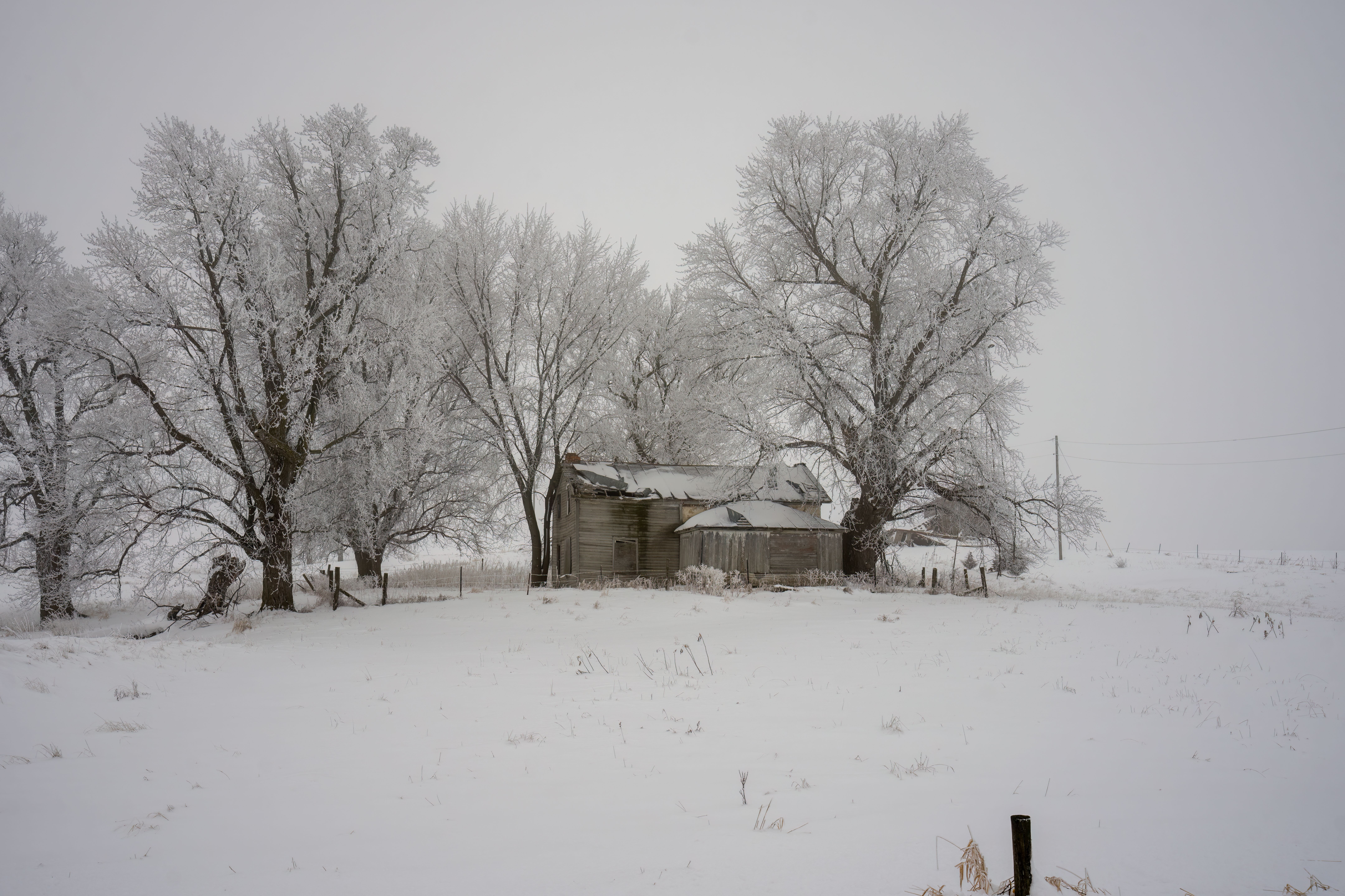 1961 Jan 13th House of Decorating — Photo by Tom Fisk on Pexels