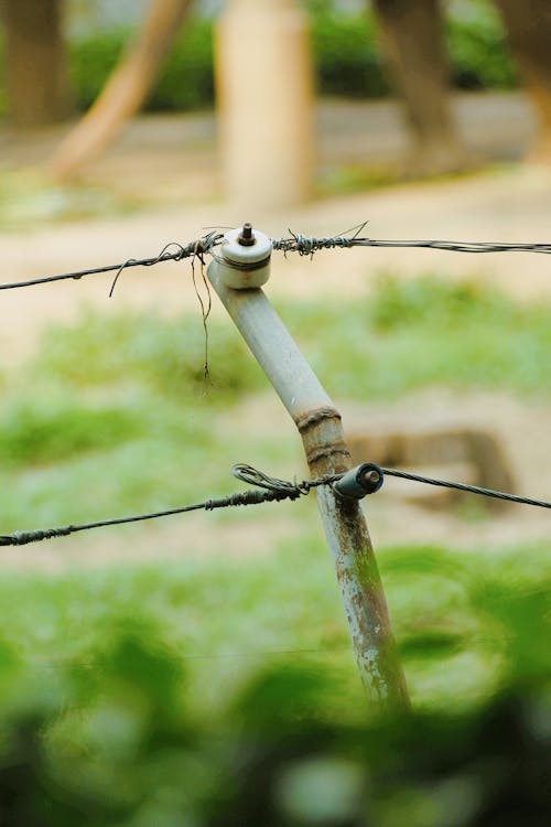Close-up of Barbed Wire 