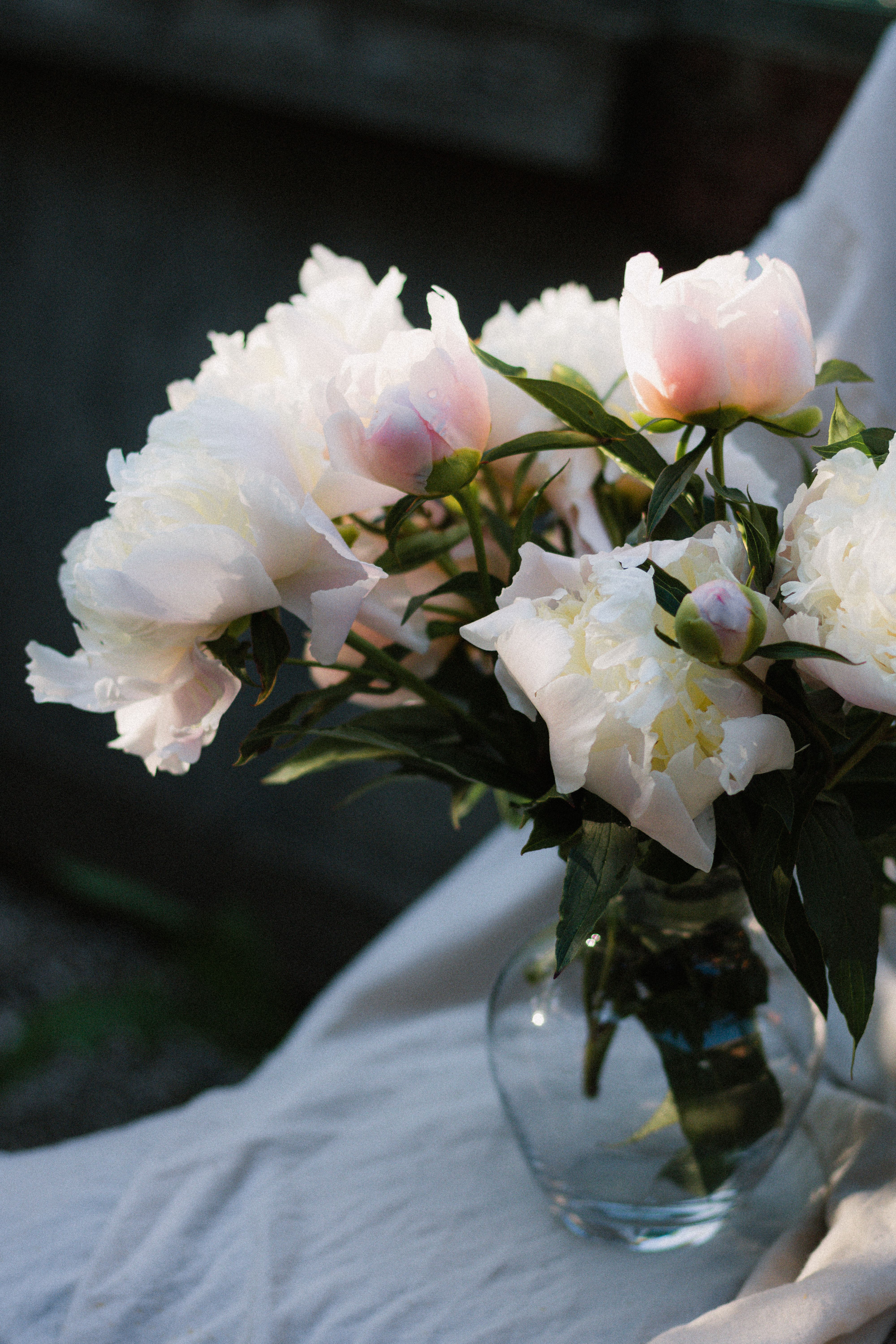 A delicate peony bouquet arranged beautifully in a glass vase, captured indoors.