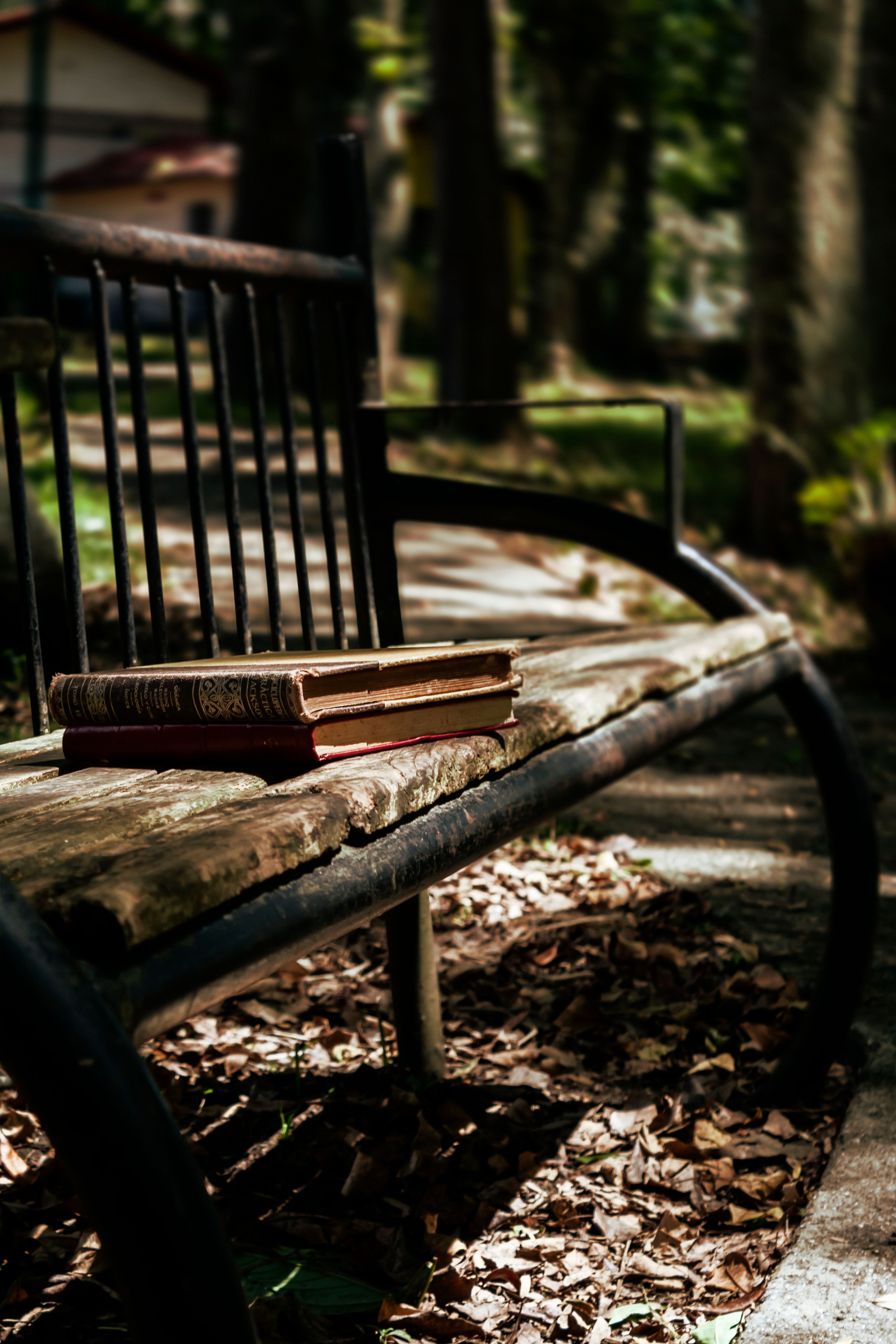 Free Books on Park Bench Stock Photo
