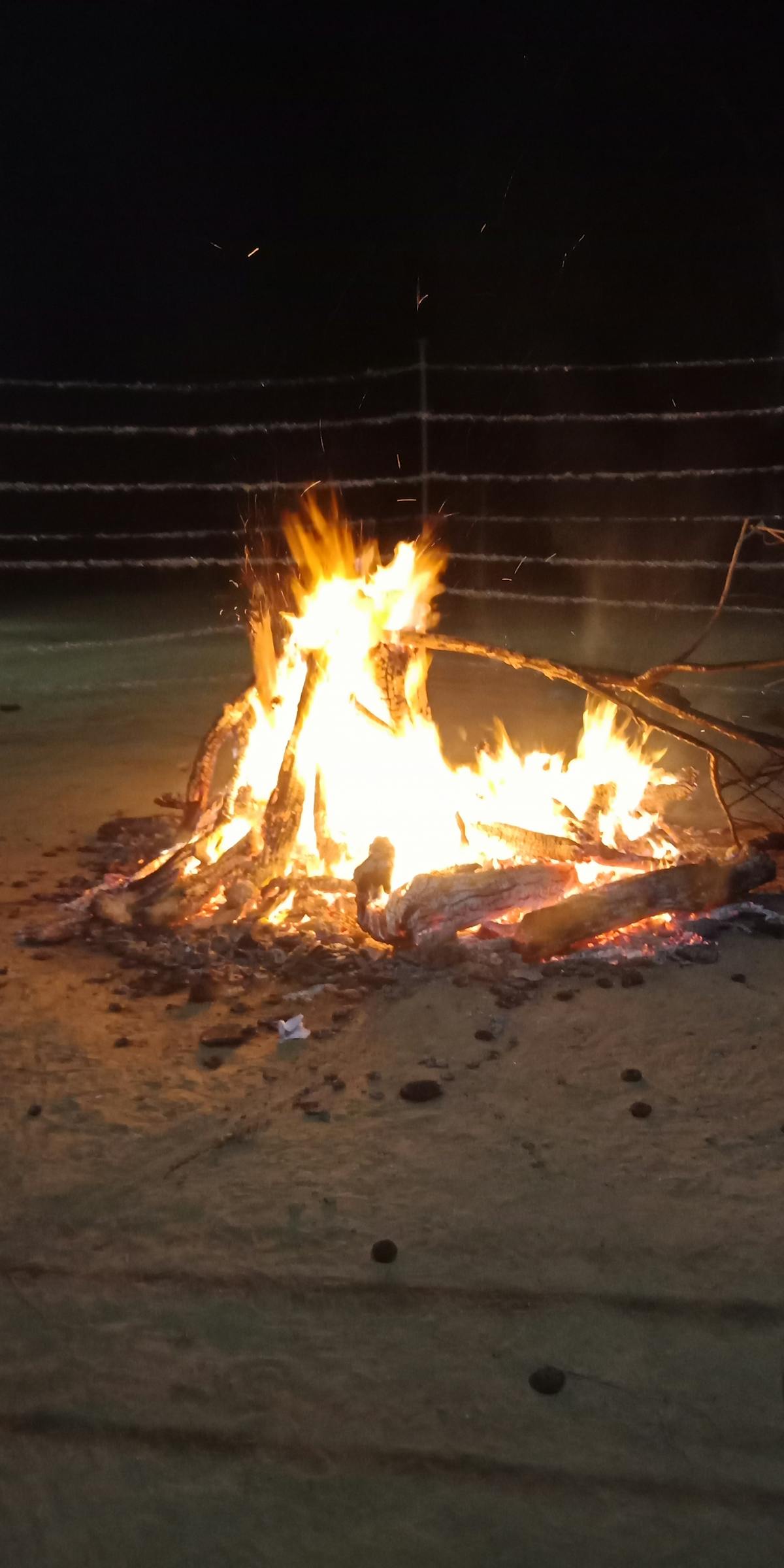 Person recording vertical video content with smartphone on tripod