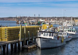 Motorboats moored on a pier, photo by Phil Evenden on Pexels