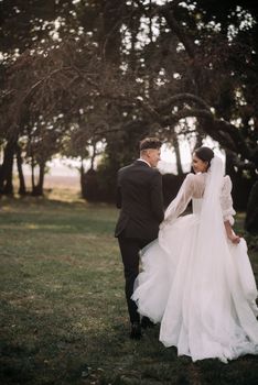 Newlyweds walking hand in hand in a scenic garden, capturing a romantic moment.