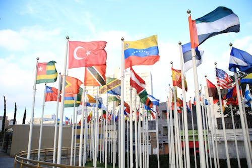 Field with National State Flags