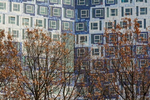 Facade of a Block of Flats and Trees in Autumn Foliage 