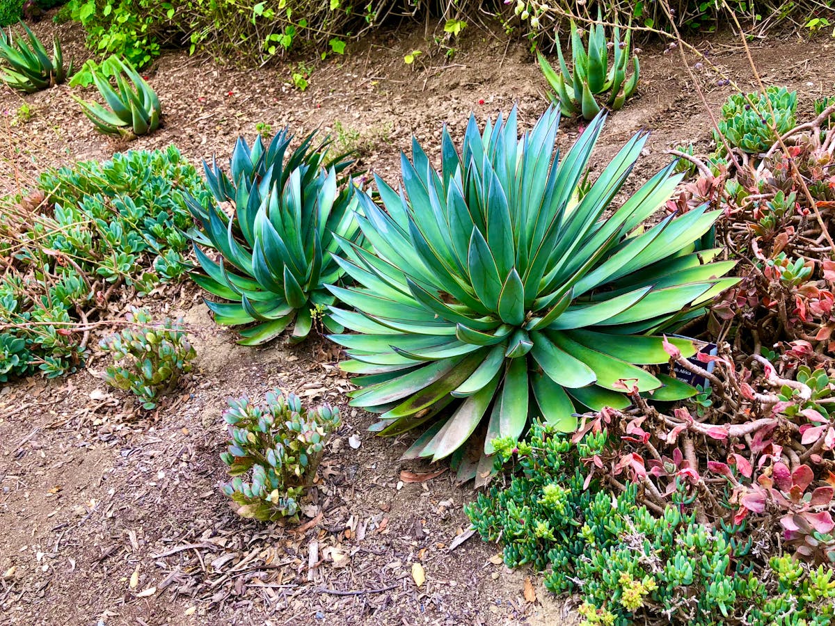 Professional learning from short-form educational content on multiple devices