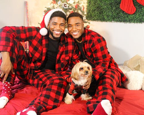 Foto profissional grátis de cachorro, casal, decoração de Natal