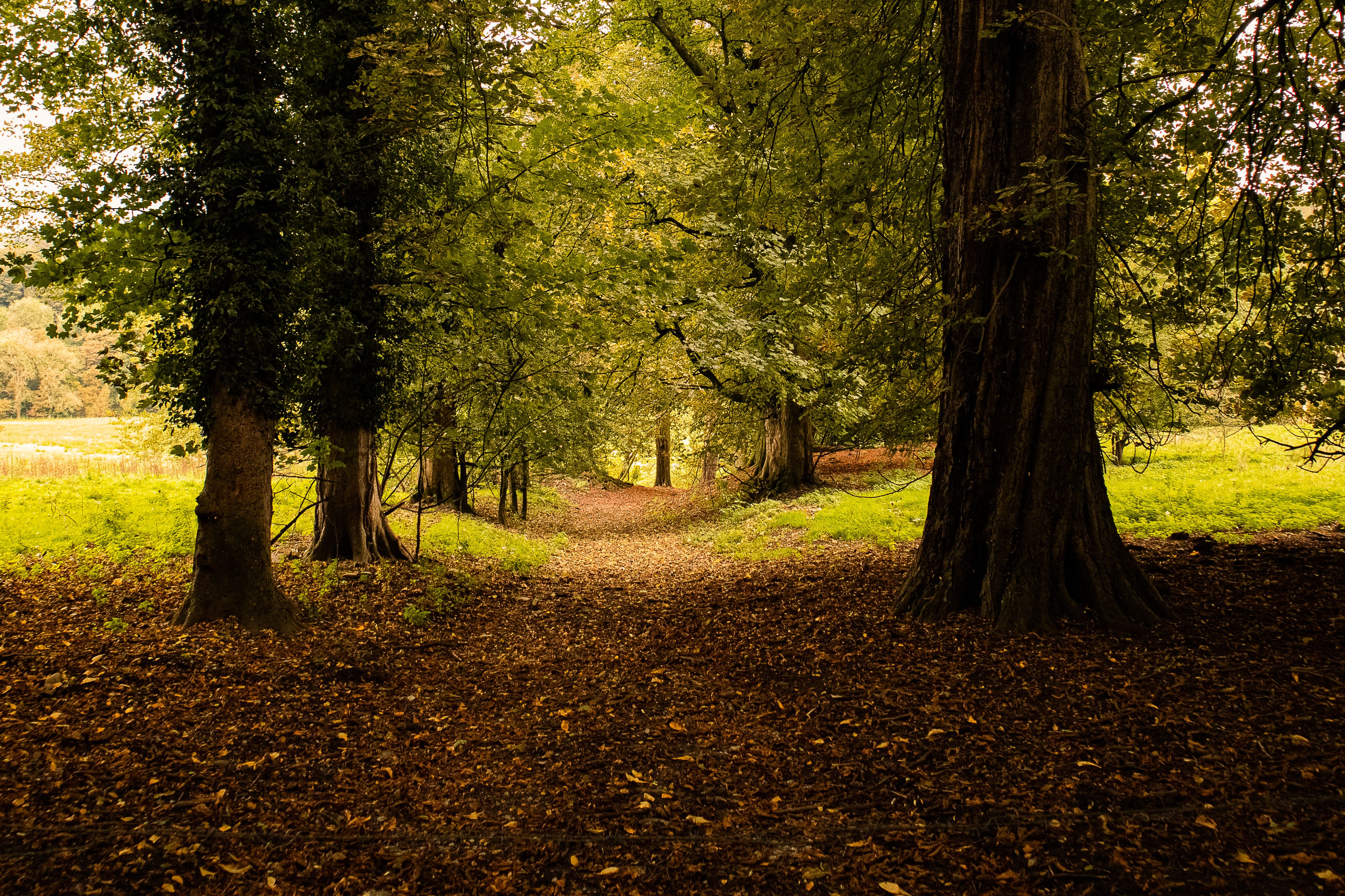 Monsal Trail