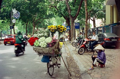 Free Street vendor with flowers on bicycle amidst bustling city scene and traffic. Stock Photo