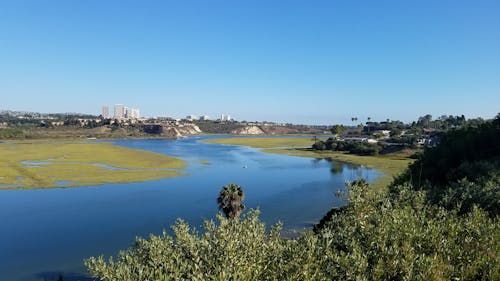 Upper Newport Bay Estuary