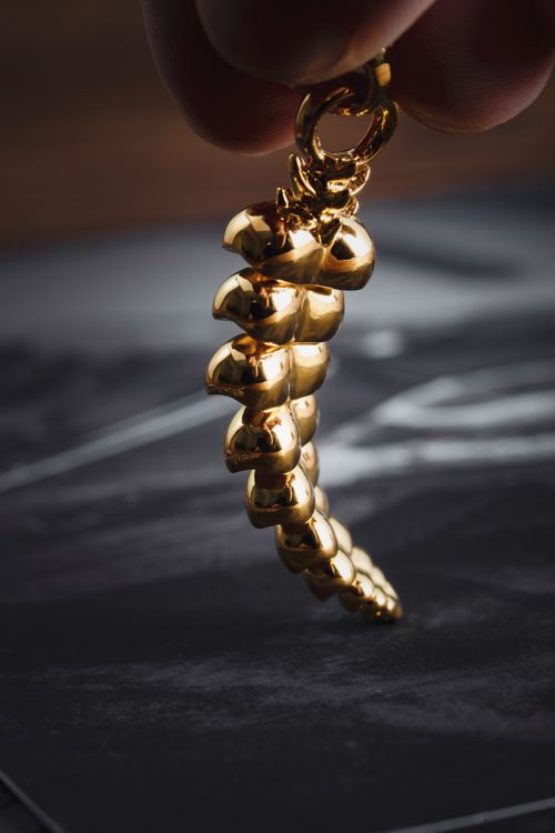 Free Elegant handmade golden dragon tail jewelry piece on a textured black background. Stock Photo