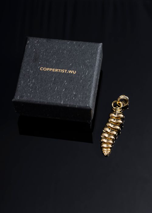 Free A sophisticated gold dragon tail pendant displayed next to a COPPERTIST.WU gift box. Stock Photo
