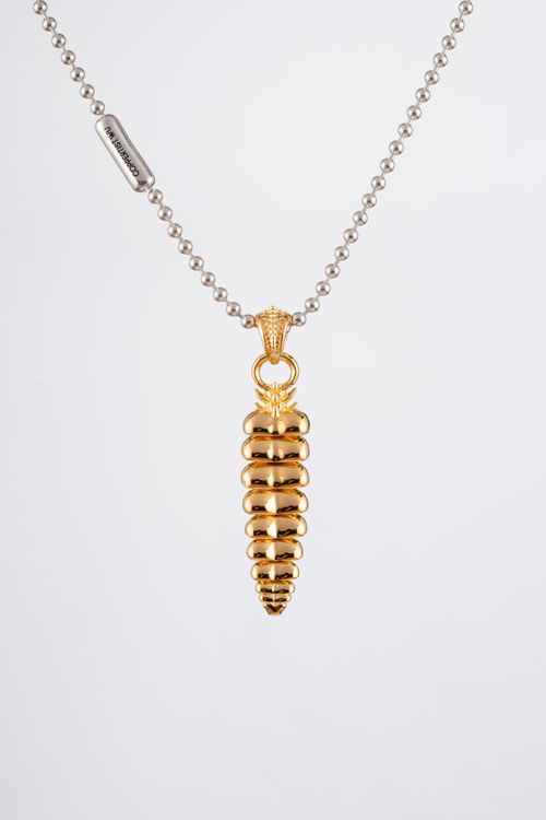 Free Stylish golden necklace with an artistic dragon pendant against a white background. Stock Photo