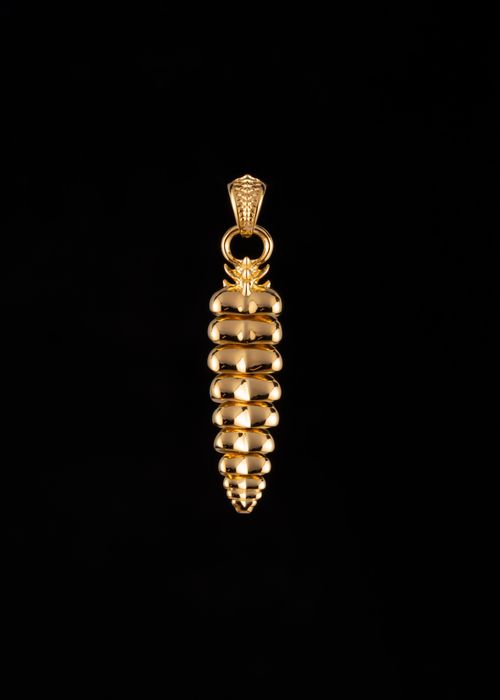 Free Luxurious golden rattlesnake tail pendant against a black backdrop, symbolizing opulence. Stock Photo