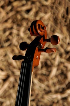 Close-up view of a violin's scroll and pegs with blurred natural background.