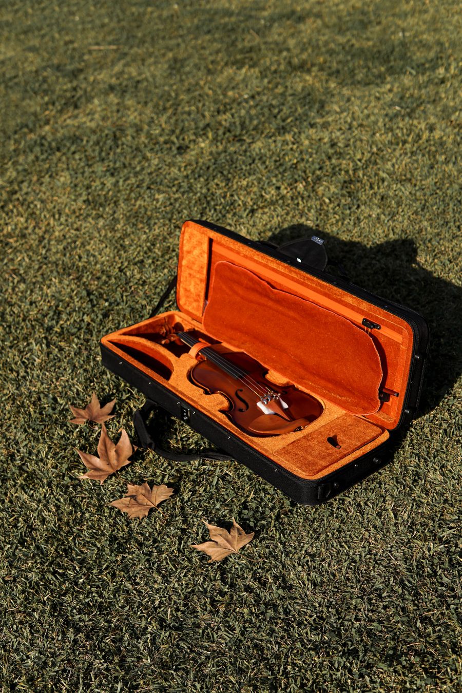 Étui de violon posé sur l'herbe, exemple de bien spécial transporté