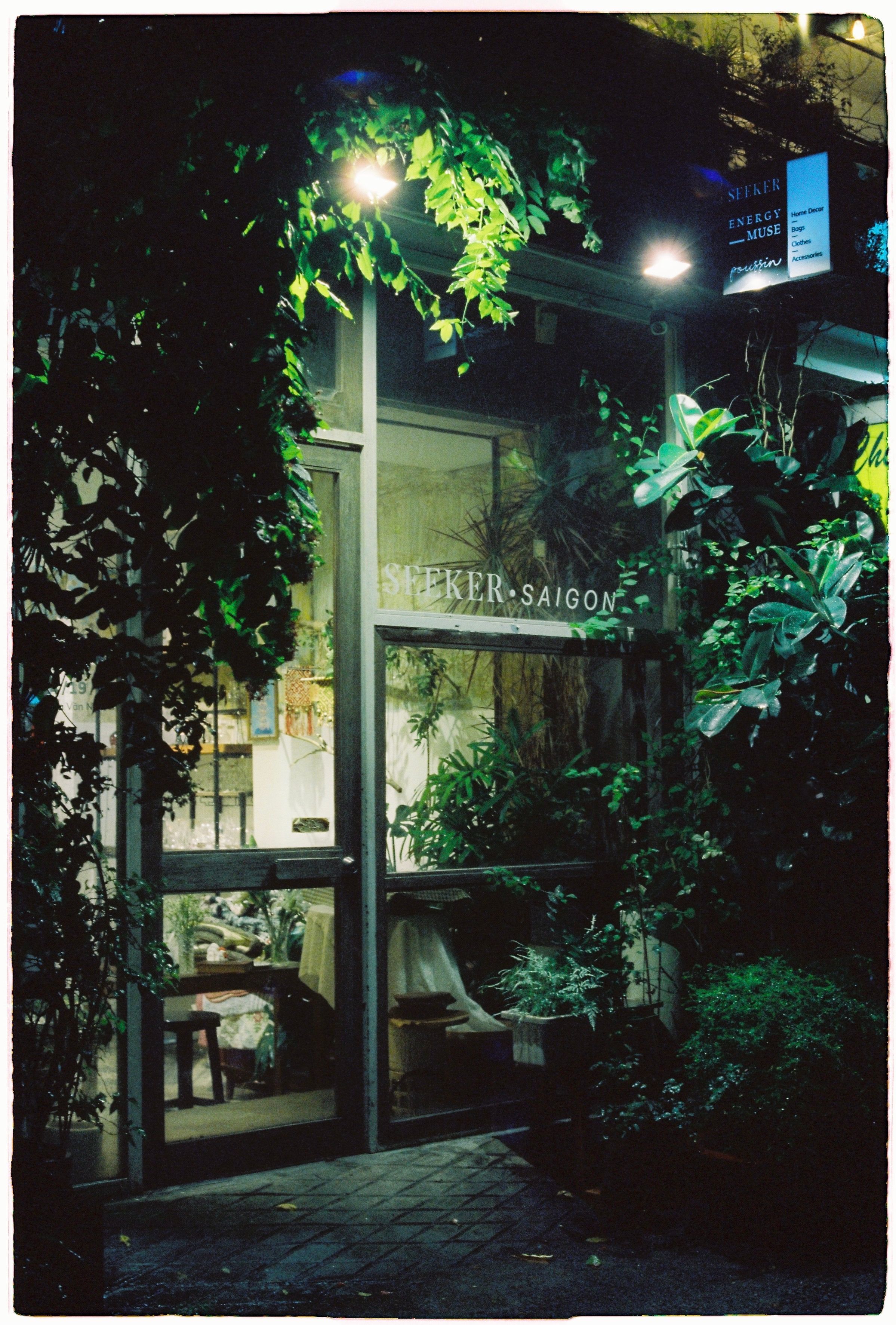 A doorway surrounded by lush climbing plants and ivy, illuminated at night.