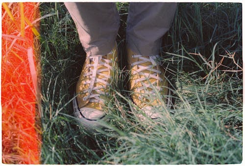 Základová fotografie zdarma na téma boty, detail, flóra