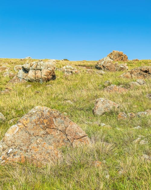 Rocks on a Grassy Hill