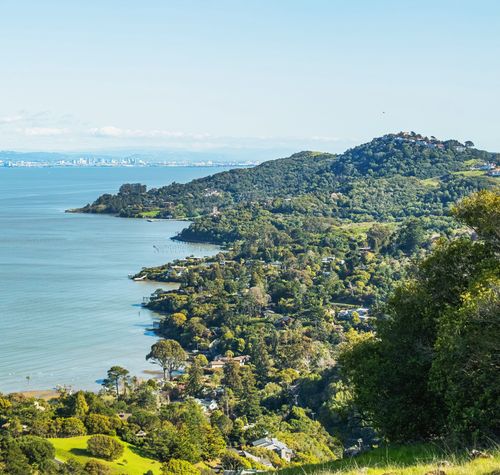 Free A breathtaking view of lush hills meeting a tranquil coastal bay on a bright day. Stock Photo