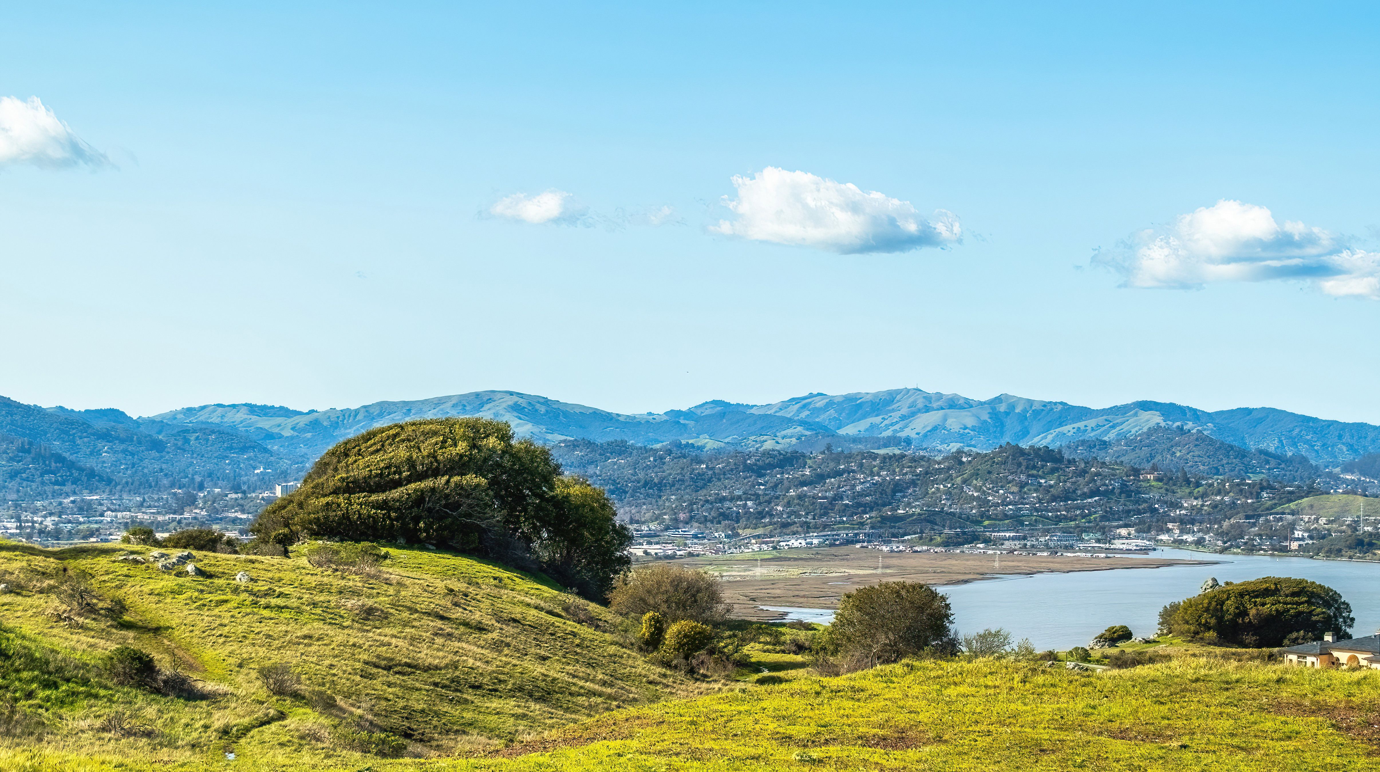 South Morro Hills hemp grower shifts to cannabis cultivation — Photo by Robert So on Pexels