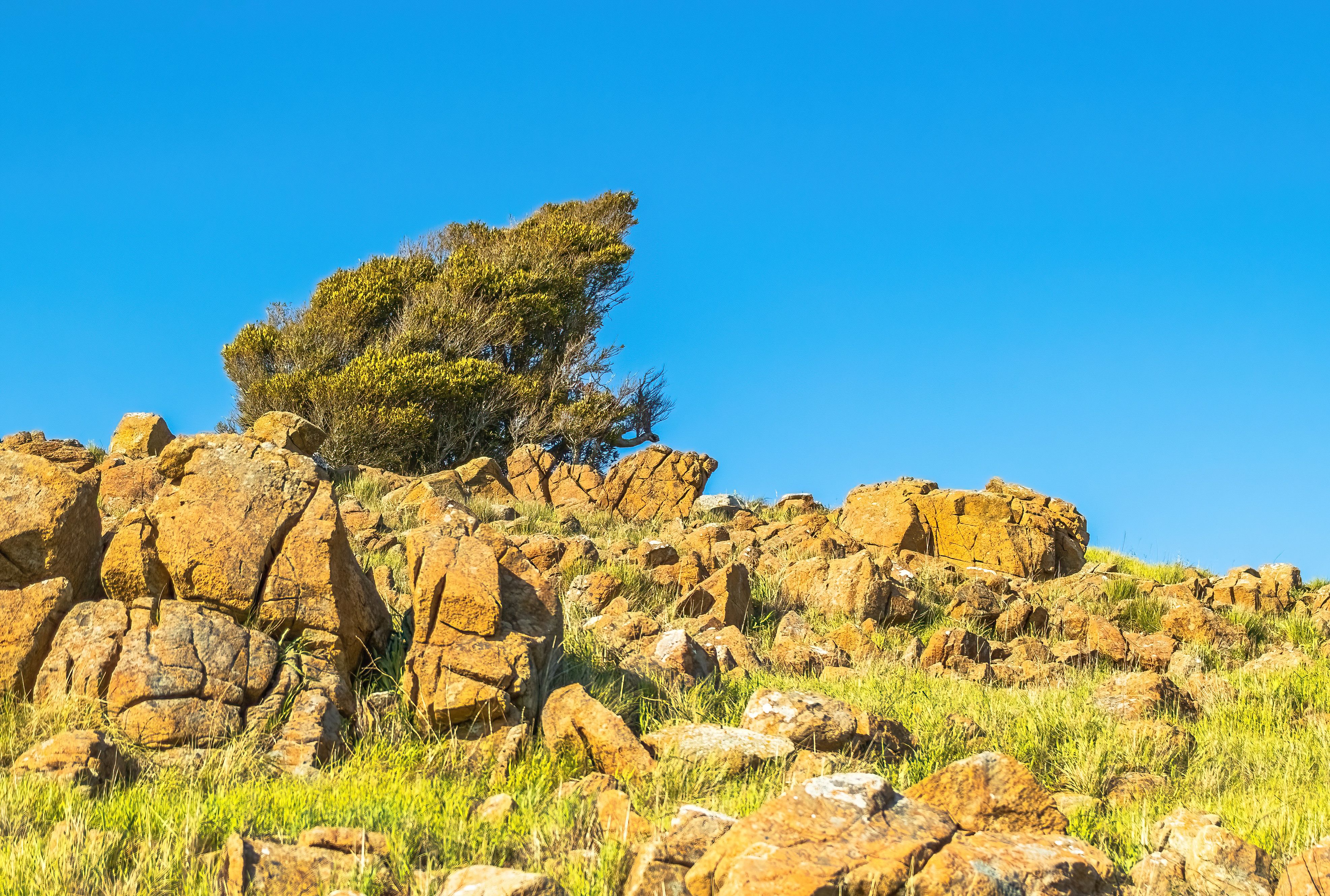 Rocks on a Hill in Summer · Free Stock Photo