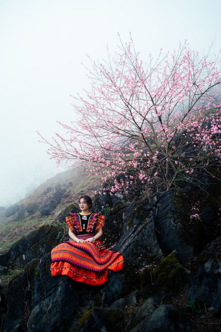 A woman in vibrant traditional clothing sits near cherry blossom trees in a misty spring landscape.