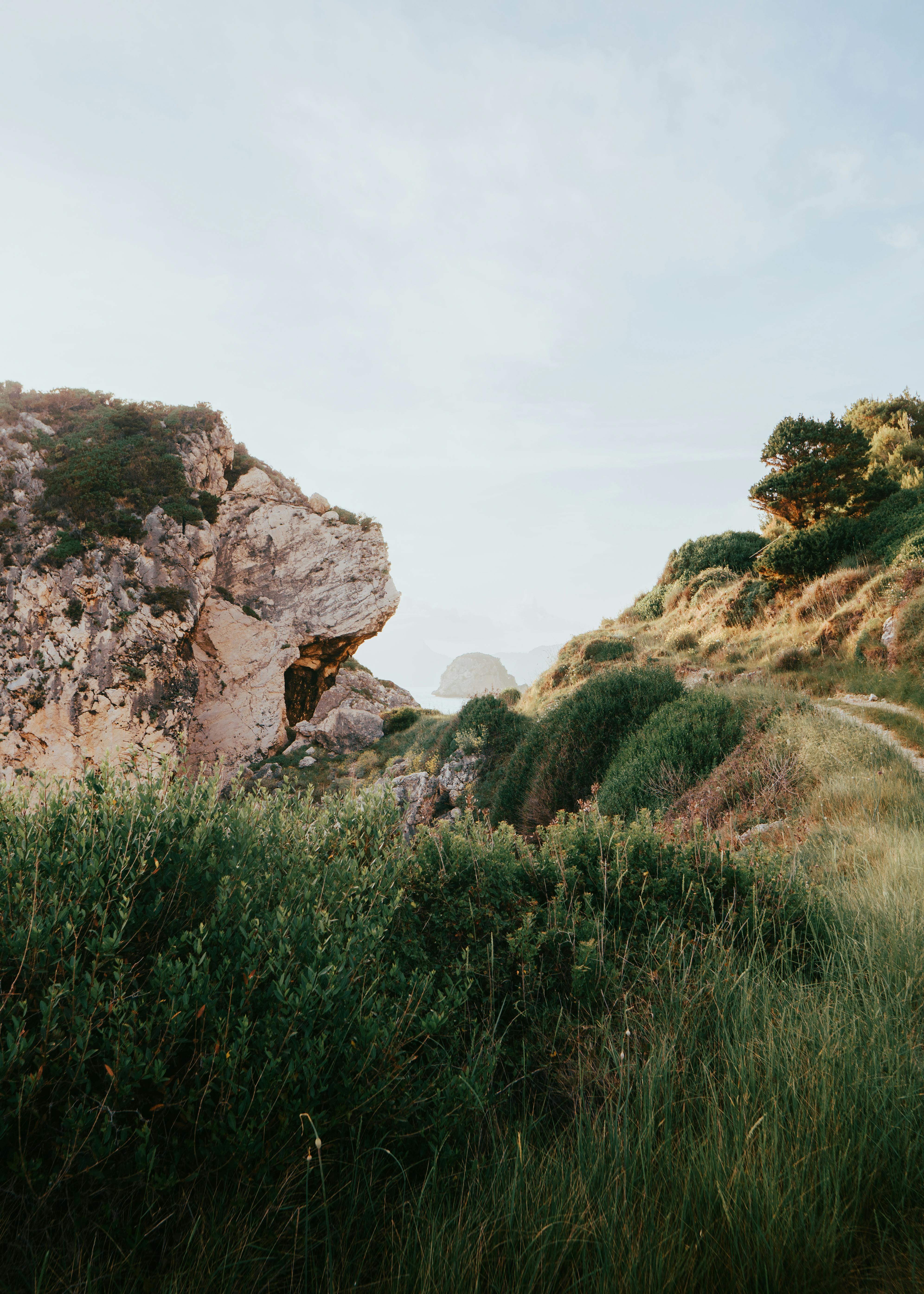 Explore the serene coastal rocky landscape with lush greenery in summer.