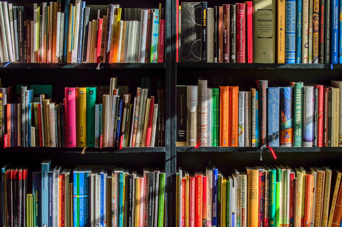 бесплатная Книги в черной деревянной книжной полке Стоковое фото