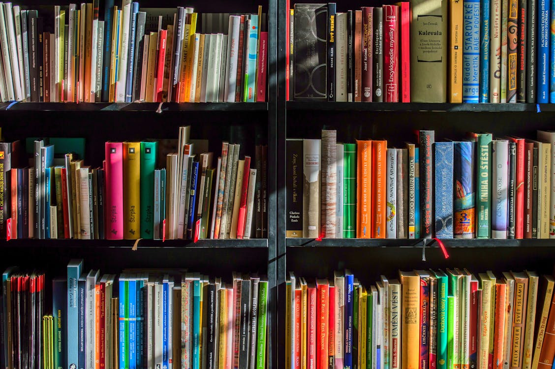 Free Books in Black Wooden Book Shelf Stock Photo