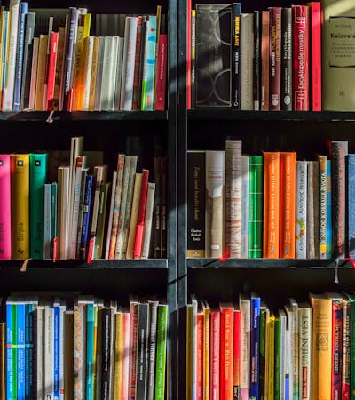 Reading time in the park