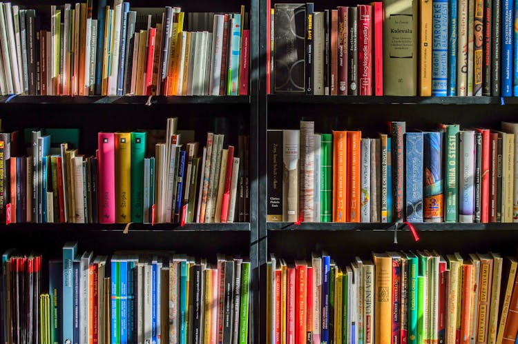 Books In Black Wooden Book Shelf