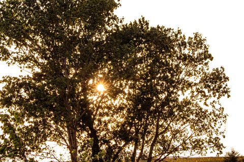 Artwork for Living With an Unleashed Heart: Healing After Grief with Victoria Volk