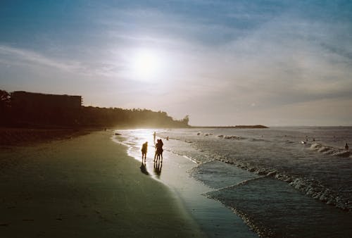 Foto profissional grátis de areia, céu azul, costa