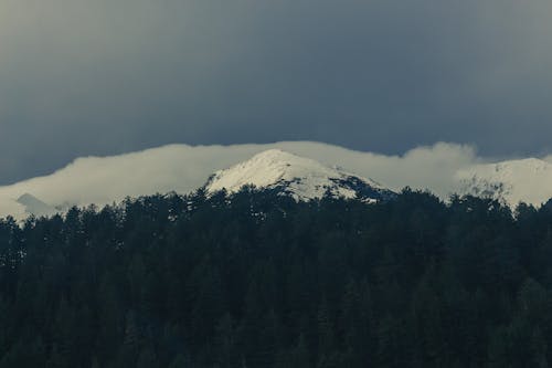 Základová fotografie zdarma na téma hora, les, mraky