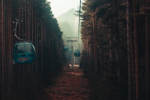 бесплатная Бесплатное стоковое фото с вагон канатной дороги, глубокий лес, деревья Стоковое фото