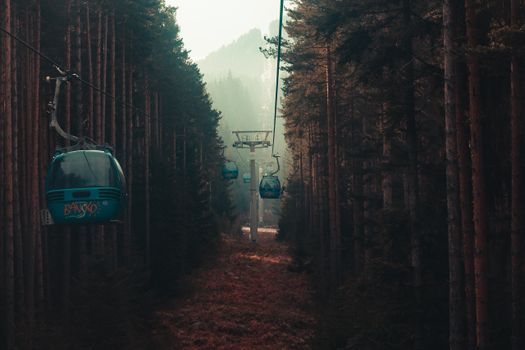 Cable cars traverse a misty pine forest in Bansko, offering scenic views.