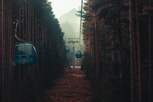 Free Cable cars traverse a misty pine forest in Bansko, offering scenic views. Stock Photo